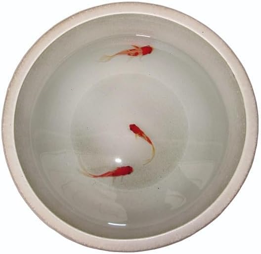 Amazon.co.jp: 陶器睡蓮鉢 無地 SL11 (ホワイト, Sサイズ) : DIY・工具